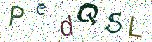 PedQSL