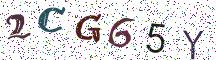 2CG65Y