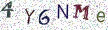 4Y6NMe