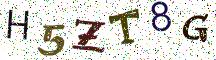 H5ZT8G