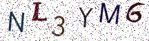NL3YM6