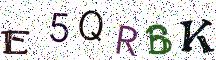 E5QRBK