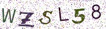WZSL58