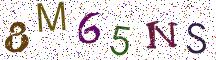 8M65NS