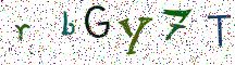 rbGY7T