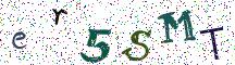 er5SMT