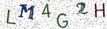 LM4G2H