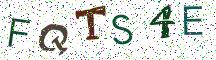 FQTS4E