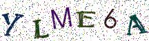 YLME6A