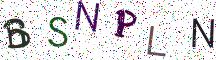BSNPLN