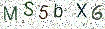MS5bX6