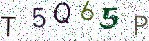 T5Q65P