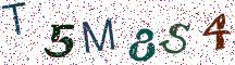 T5M8S4