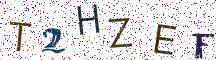 T2HZEF