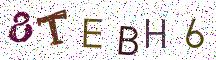 8TEBH6