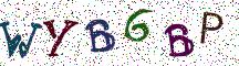 WYB6BP