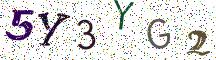 5Y3YG2