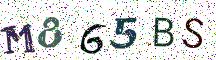 M865BS