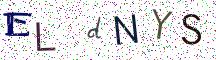 ELdNYS