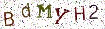 BdMYH2