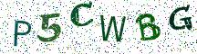 P5CWBG