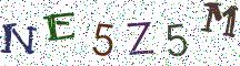 NE5Z5M