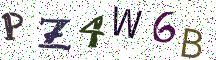 PZ4W6B