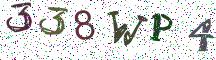338WP4