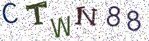 CTWN88