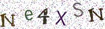 Ne4XSN