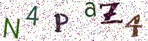 N4PaZ4