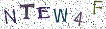 NTEW4F