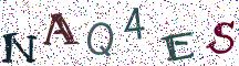 NAQ4ES