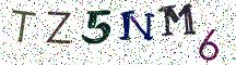 TZ5NM6