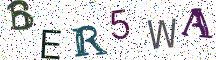 BER5WA