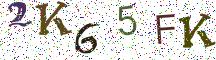 2K65FK