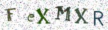 FeXMXR