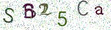 SB25Ca