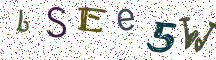 bSEe5W