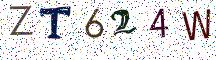 ZT624W