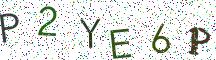P2YE6P