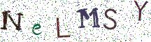 NeLMSY