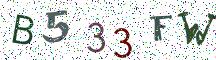 B533FW