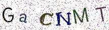 GaCNMT
