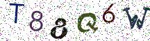 T88Q6W