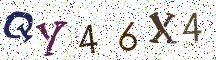 QY46X4
