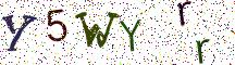 Y5WYrr