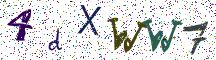 4dXWW7