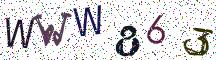 WWW863