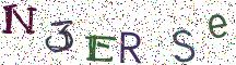 N3ERSe